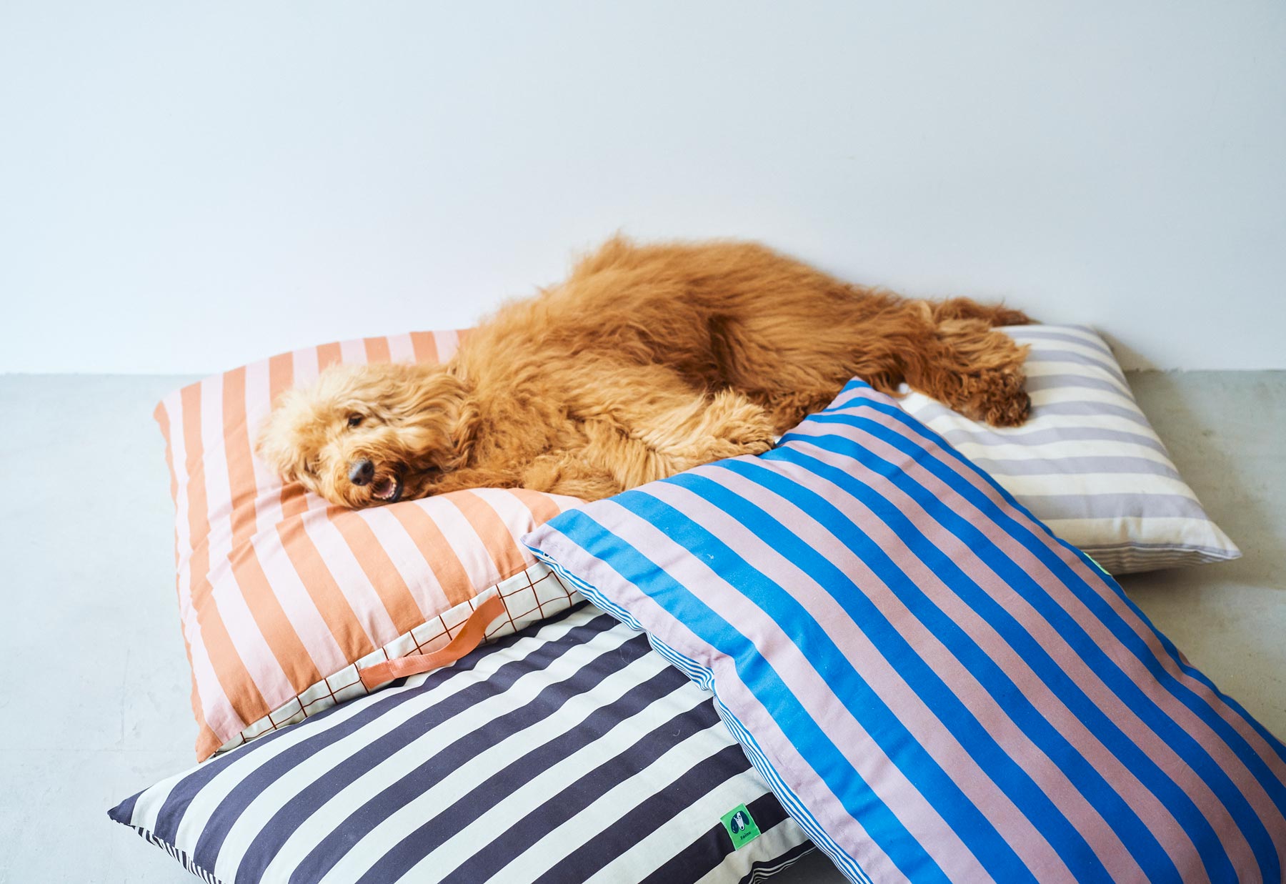 フォイヌ・クッションベッド／ストライプ｜フォイヌ（ベッド