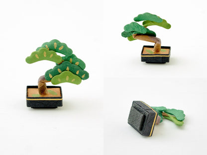ミニ盆栽／松<br>
冬でも緑色の葉を茂らせる松は、若さと不老長寿のシンボル。