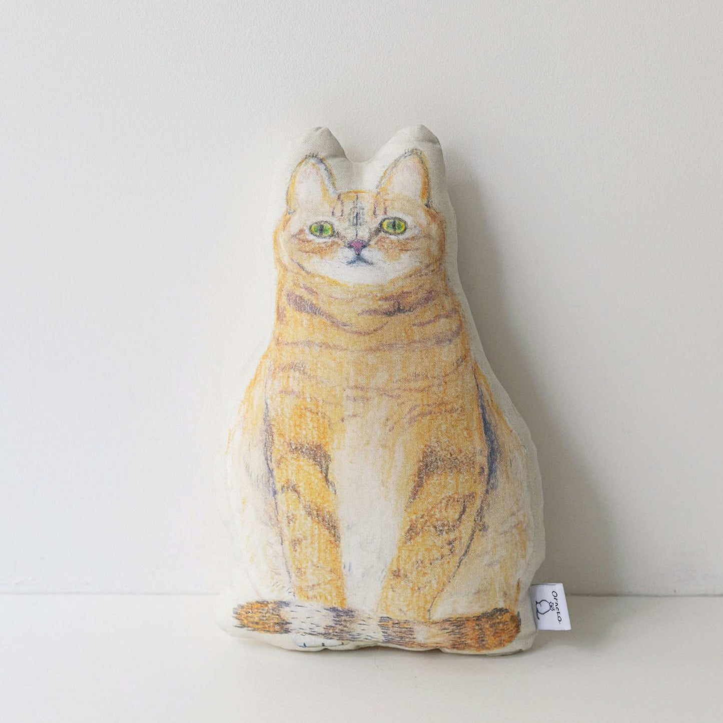 or0265）sitting brown tabby cat