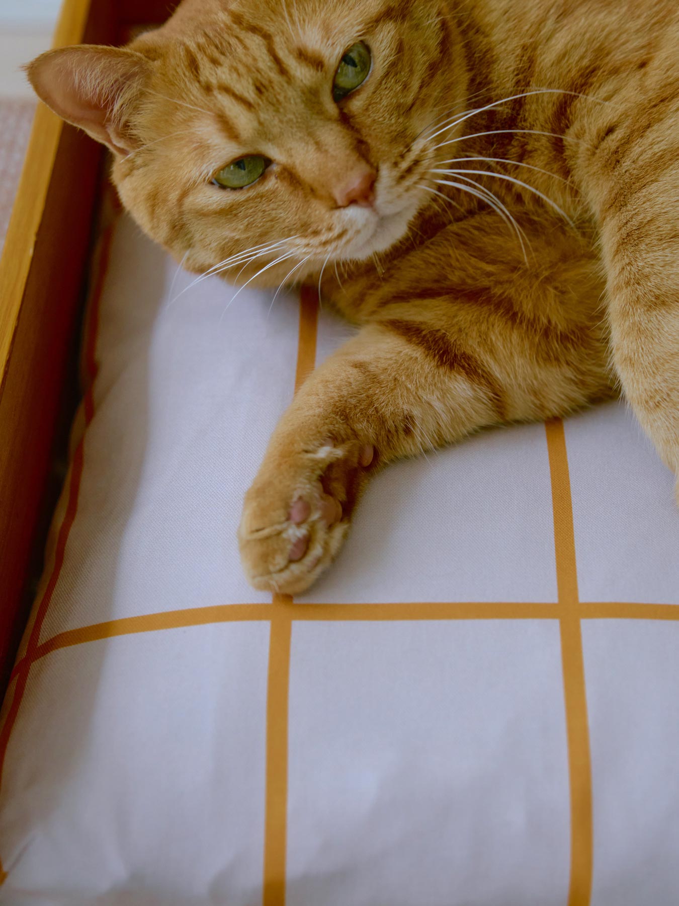 オルネコ 桐のベッド用クッション／ノルディックチェック柄｜オルネコ