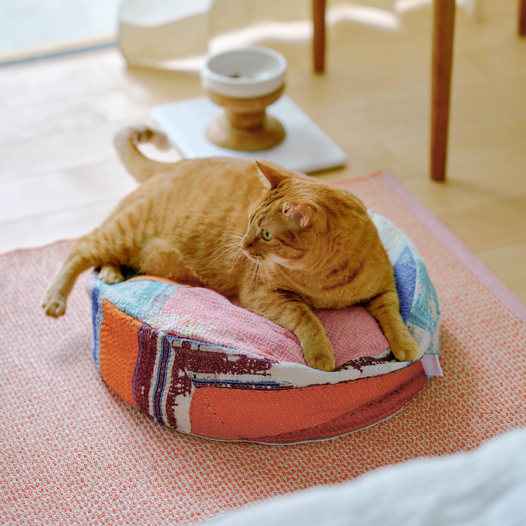 新入荷・再入荷アイテム ｜オルネ ド フォイユ 公式オンラインショップ