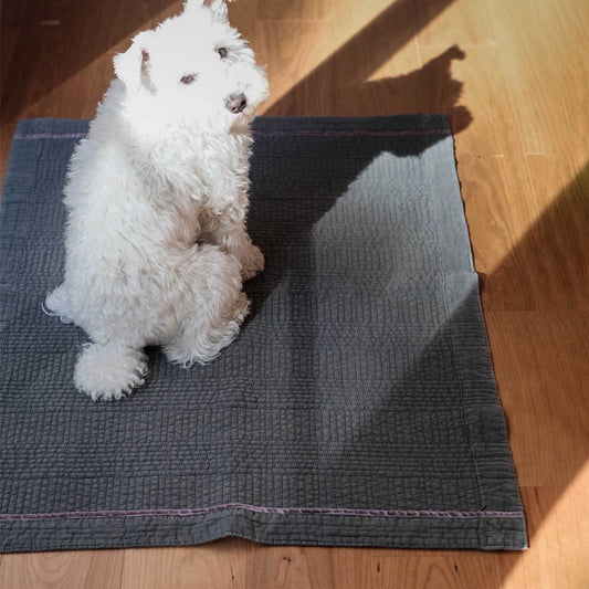 チャコール（モデル犬：7.4kg）