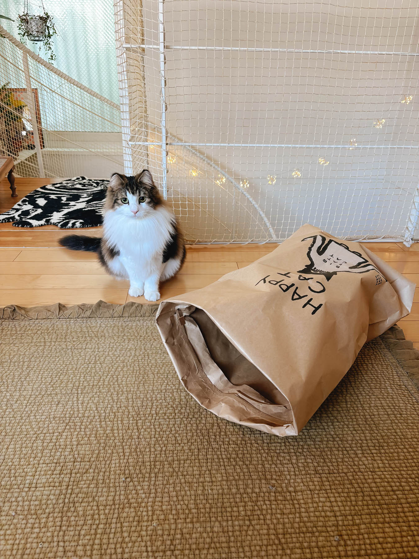 ネコ好き出品　4袋 オルネコ・ネコのための米袋／坂巻弓華 HAPPY CAT｜オルネコ（おもちゃ