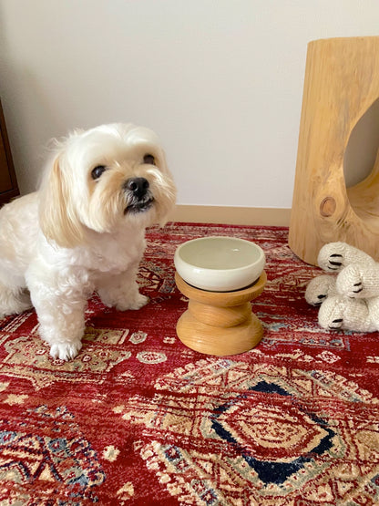 モデル犬：6kg