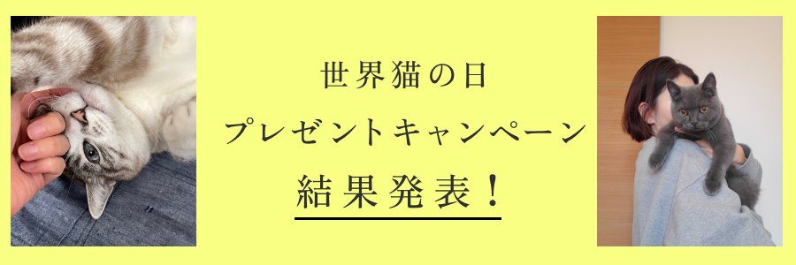 世界猫の日_キャンペーンページ_結果発表