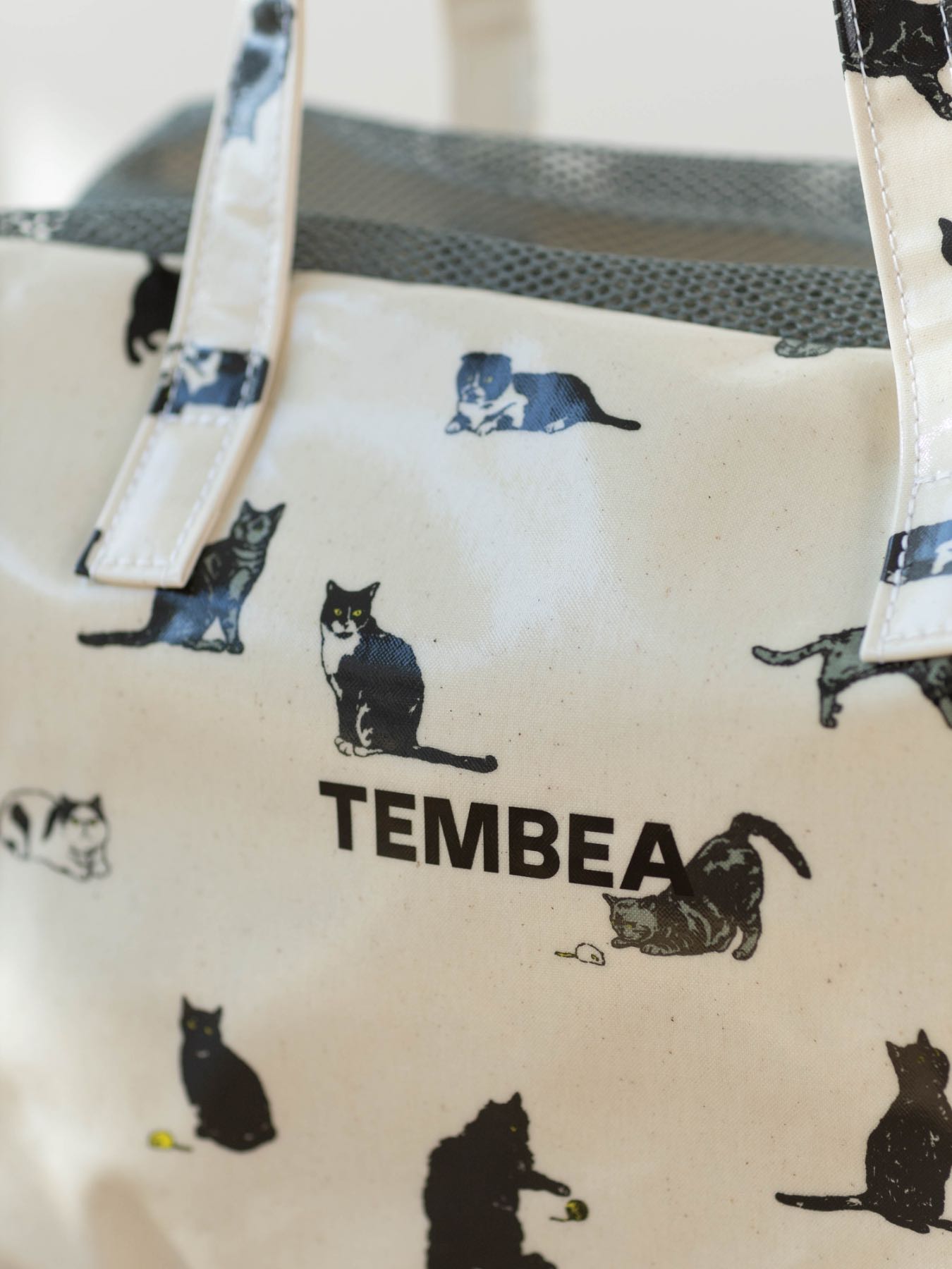 受注販売】TEMBEA × Orneko キャリーバッグ｜オルネコ（その他・お