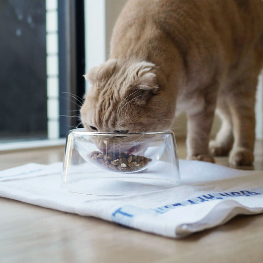 BOROSILICATE GLASS PET BOWL（フードボウル）