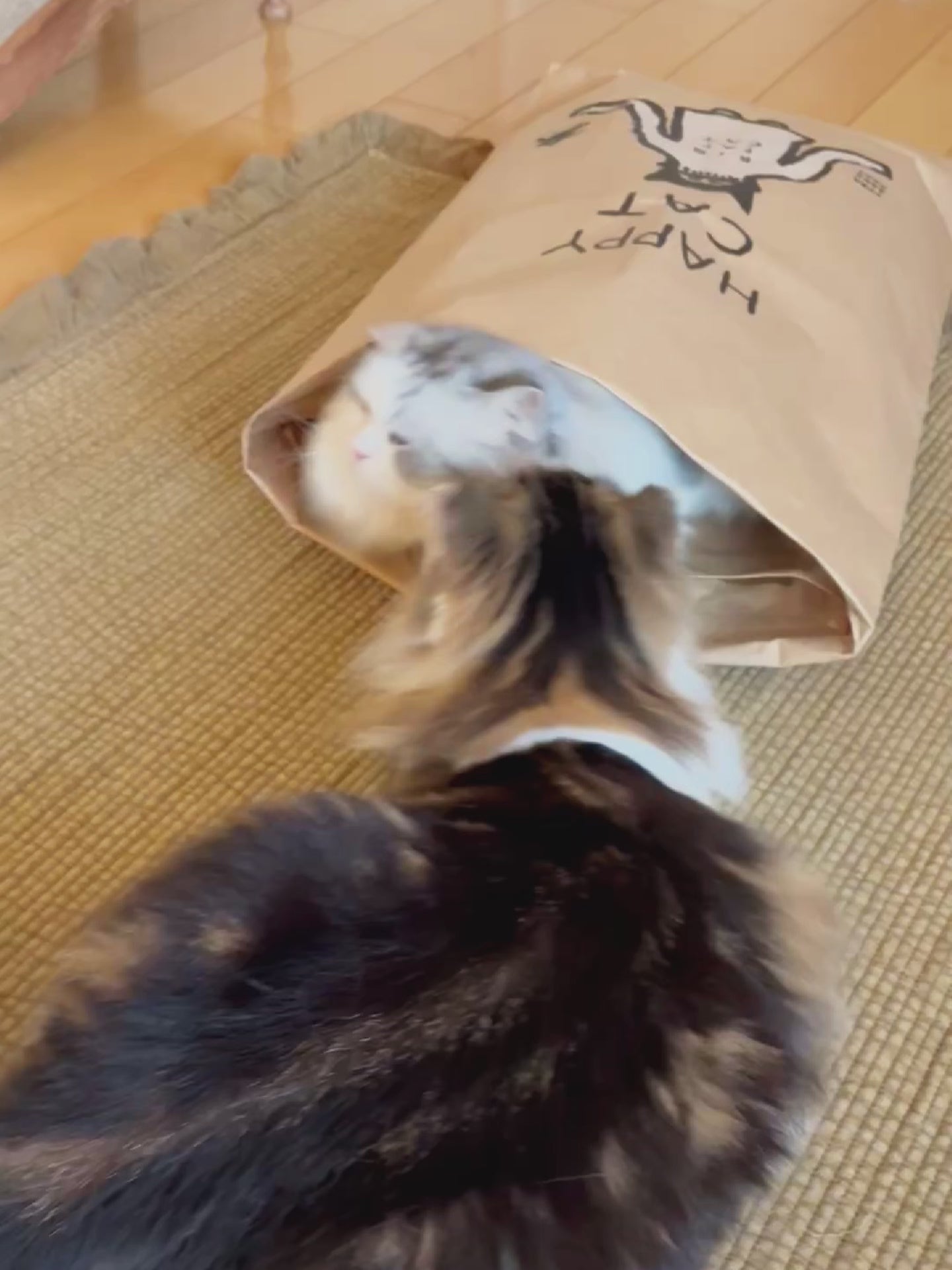 オルネコ・ネコのための米袋／坂巻弓華 HAPPY CAT｜オルネコ（おもちゃ