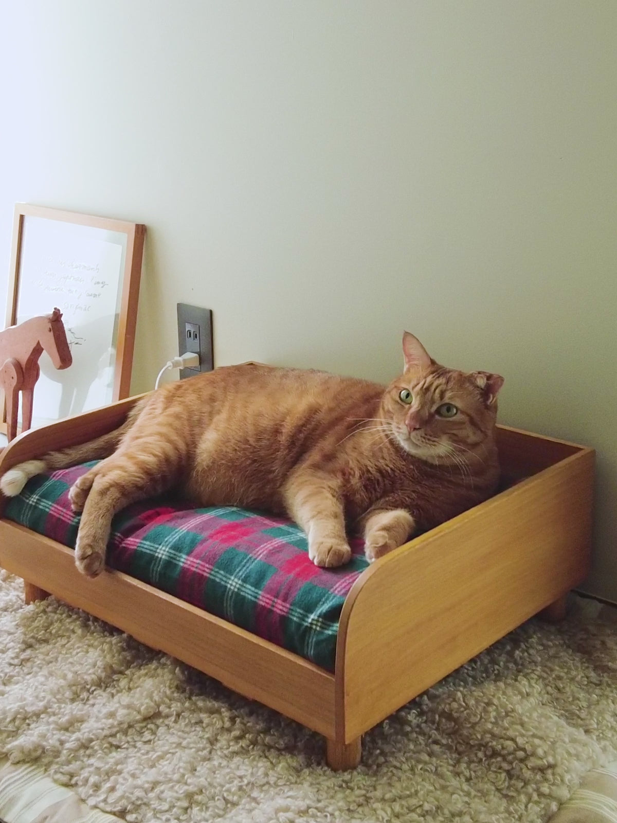 スペードのモルトの星空の家の猫のベッド - 猫用品