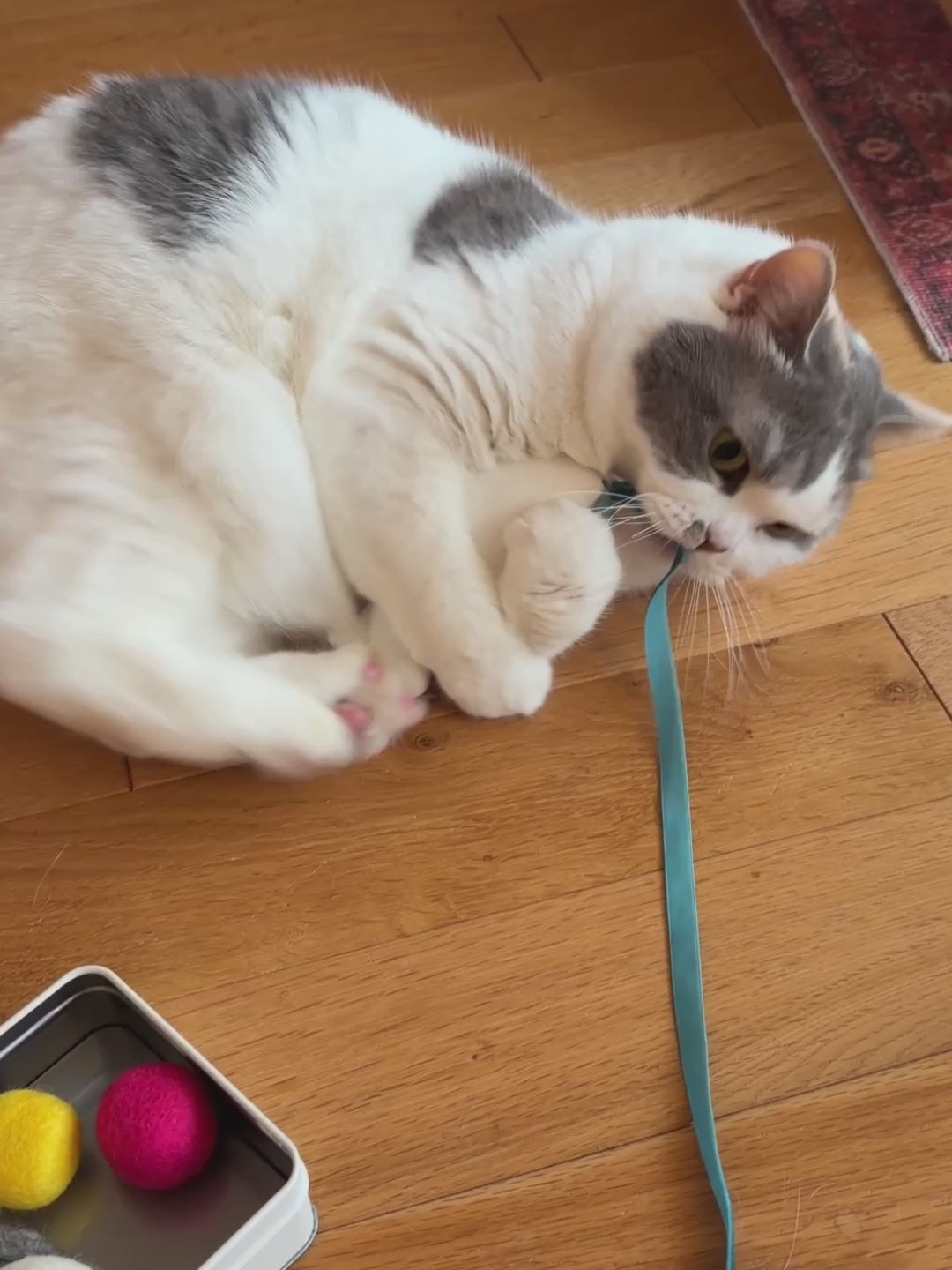 オルネコ 福ネコ缶 2026｜オルネコ（おもちゃ）｜オルネ ド フォイユ