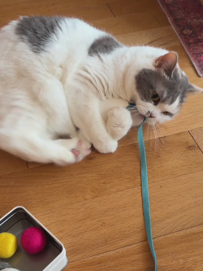 オルネコ 福ネコ缶 2026