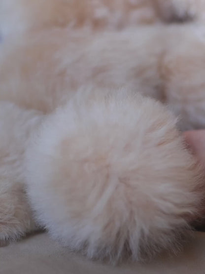 MUNAYQ ベビーアルパカ テディベア