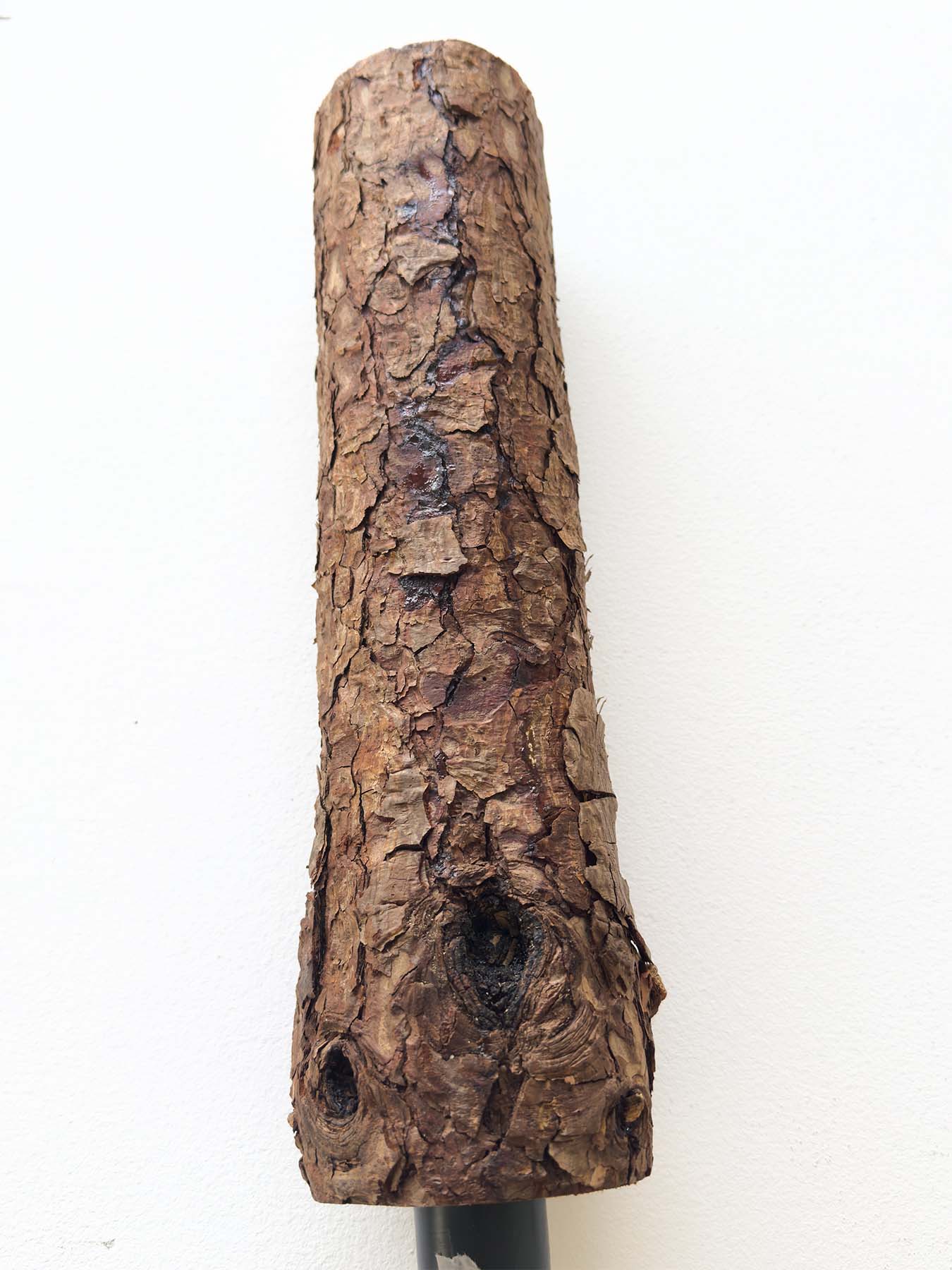 マツヤニが出ている場合があります。（経年でさらに出てくる可能性あり）