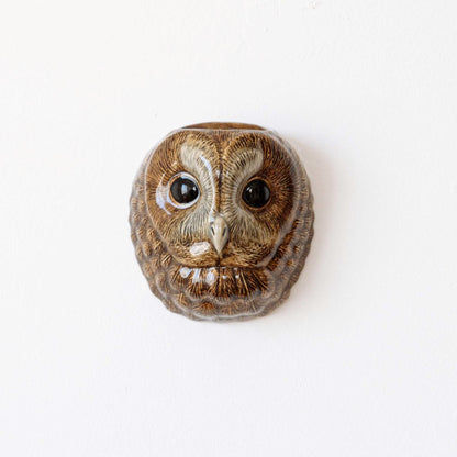 qal0018）Tawny Owl