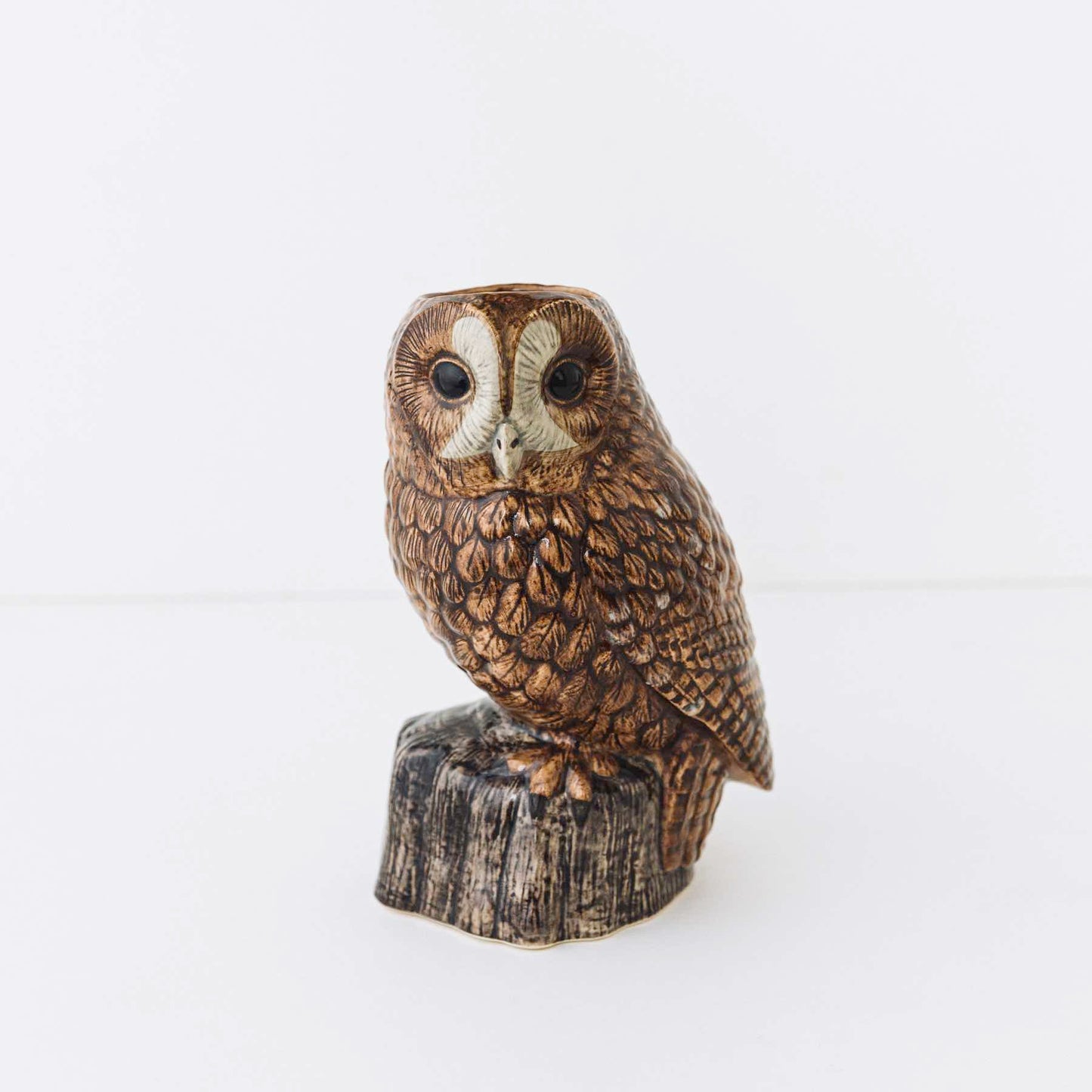 qal0019）ベース／Tawny Owl