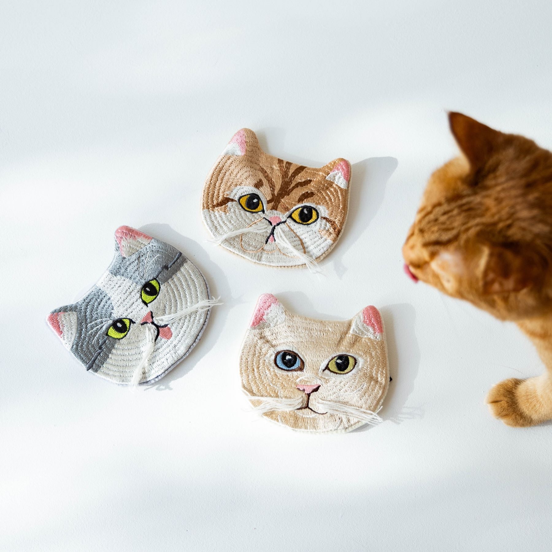 小菅くみ × Orneko 刺繍ポーチ｜ポーチ｜オルネ ド フォイユ公式