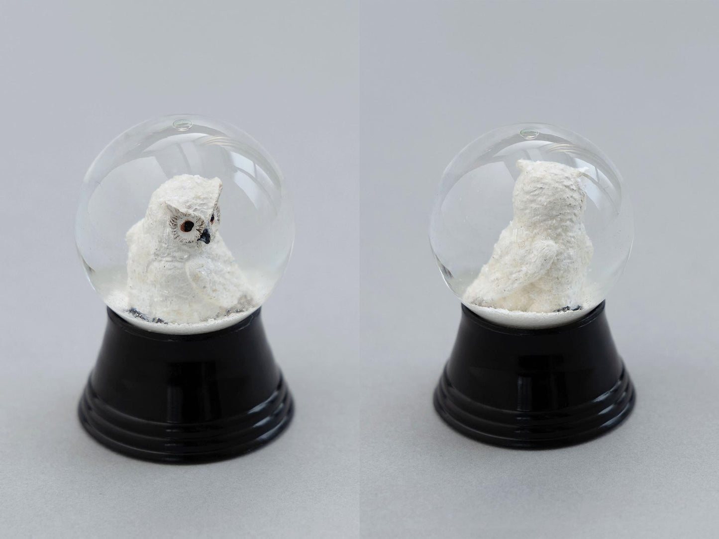 Mサイズ／白フクロウ