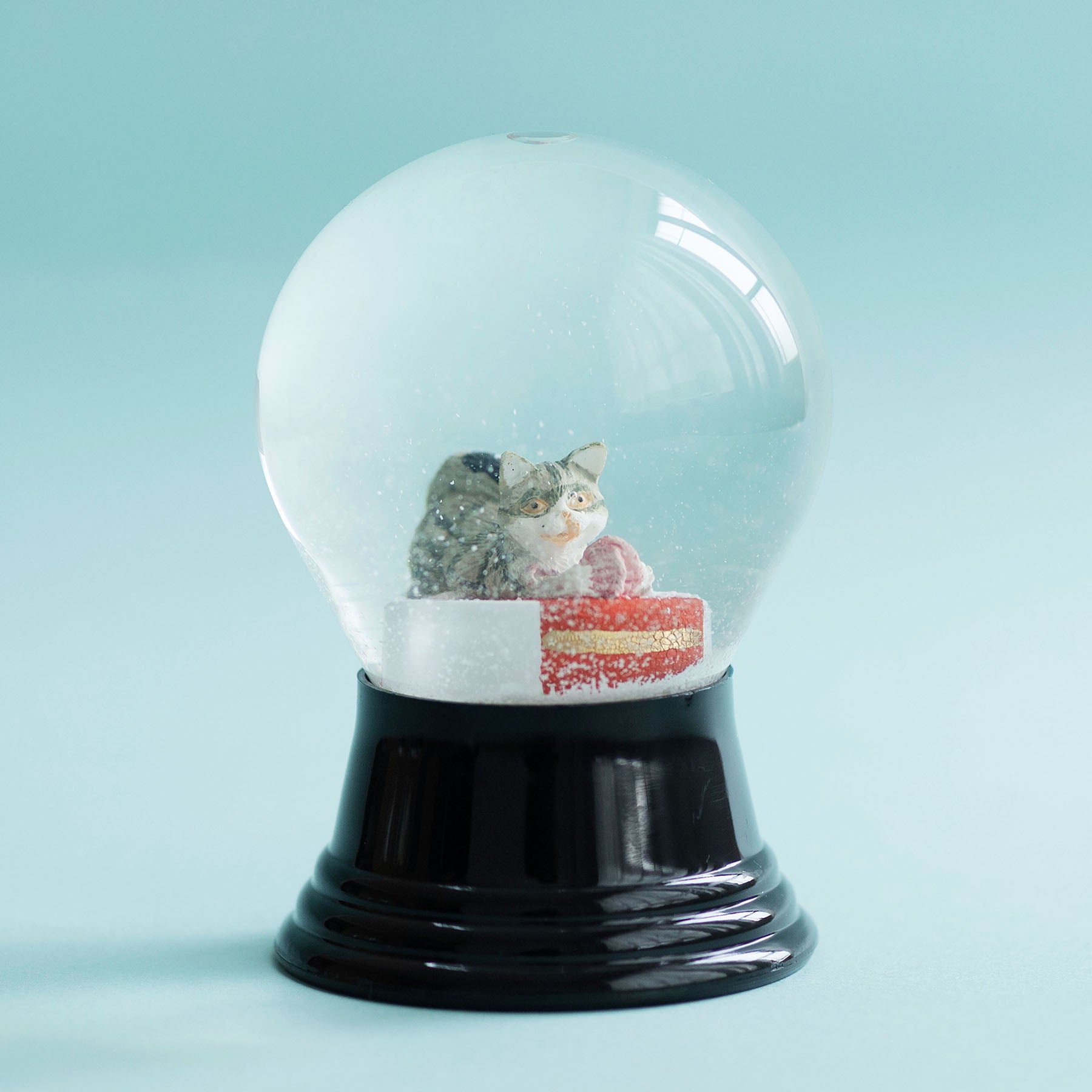 Lサイズ／ボールと遊ぶネコ