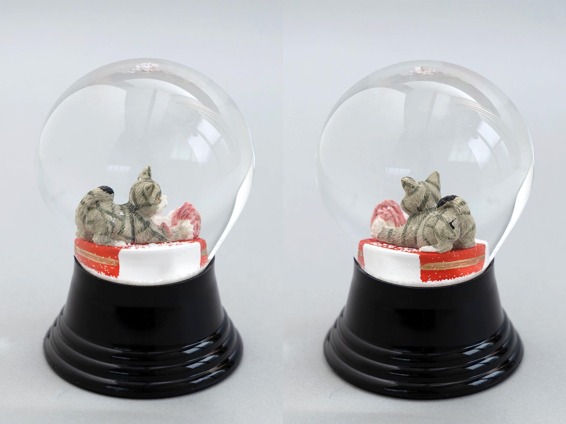 Lサイズ／ボールと遊ぶネコ