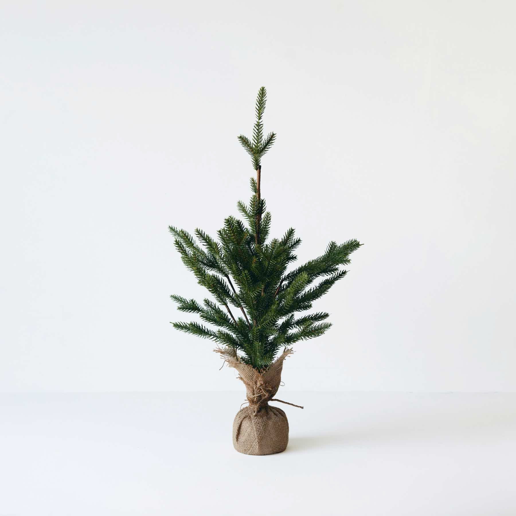 shs0026）SHISHI クリスマスツリー