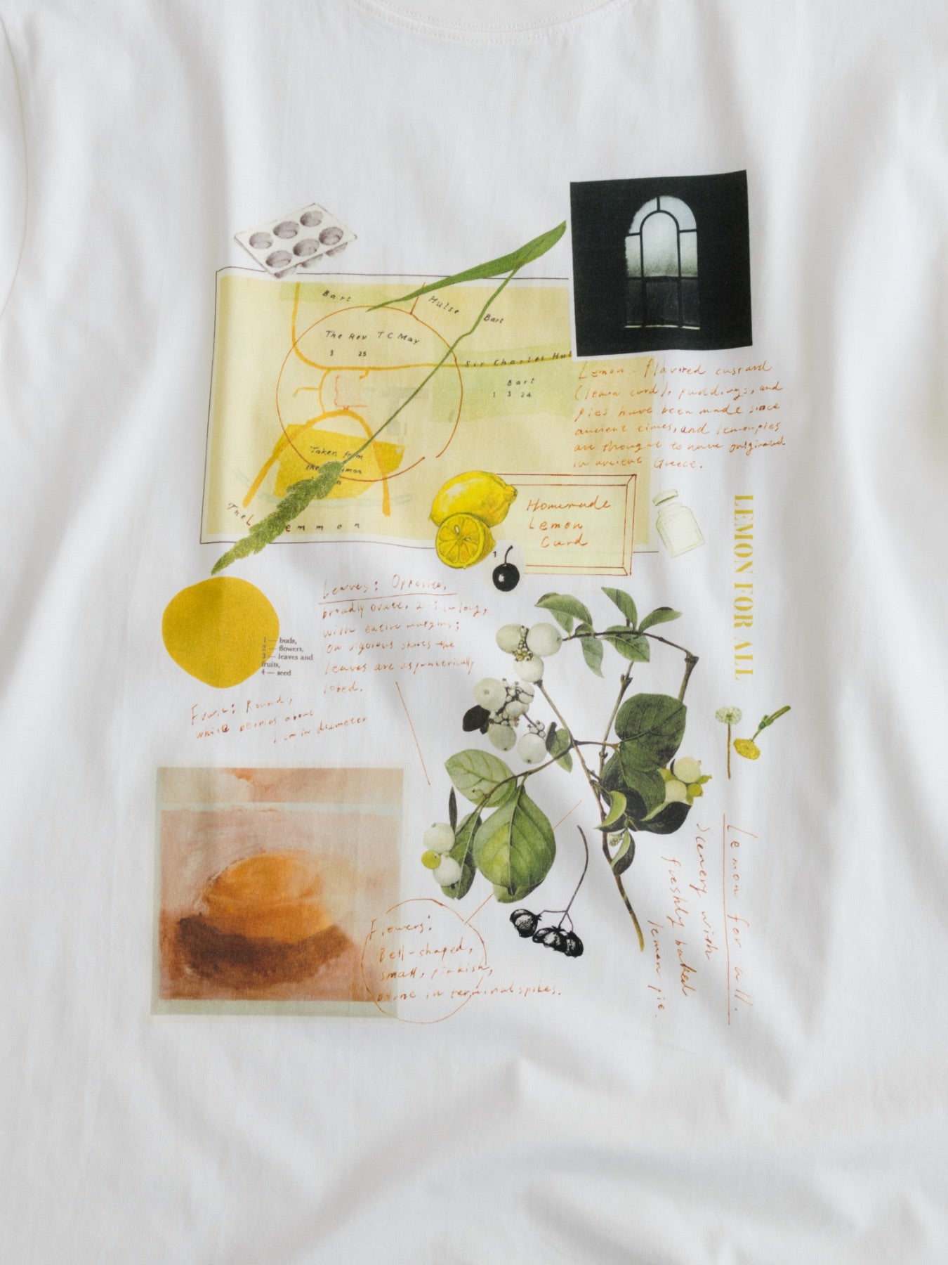 Sweet Little Nothing Tシャツ（LEMON）