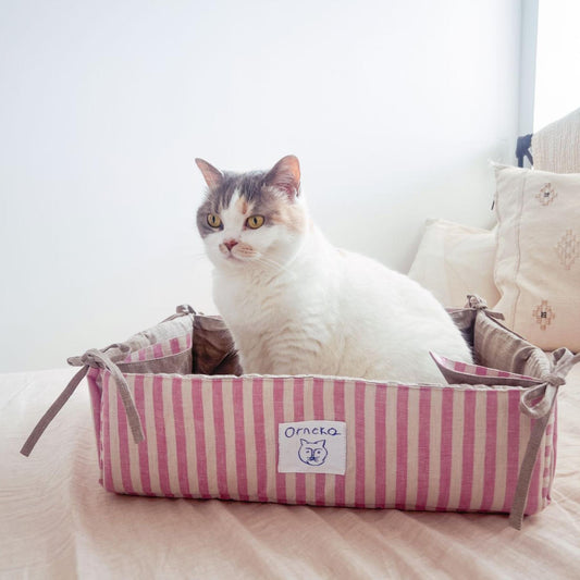 モデル猫：5kg