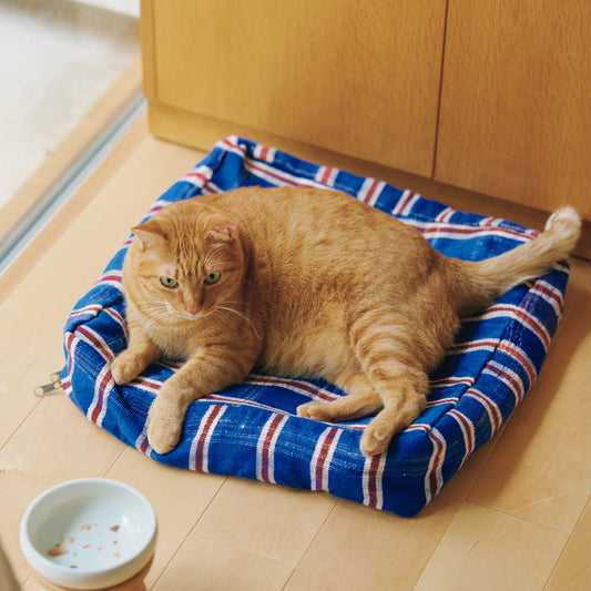 モデル猫：7.3kg（使用している柄：C）