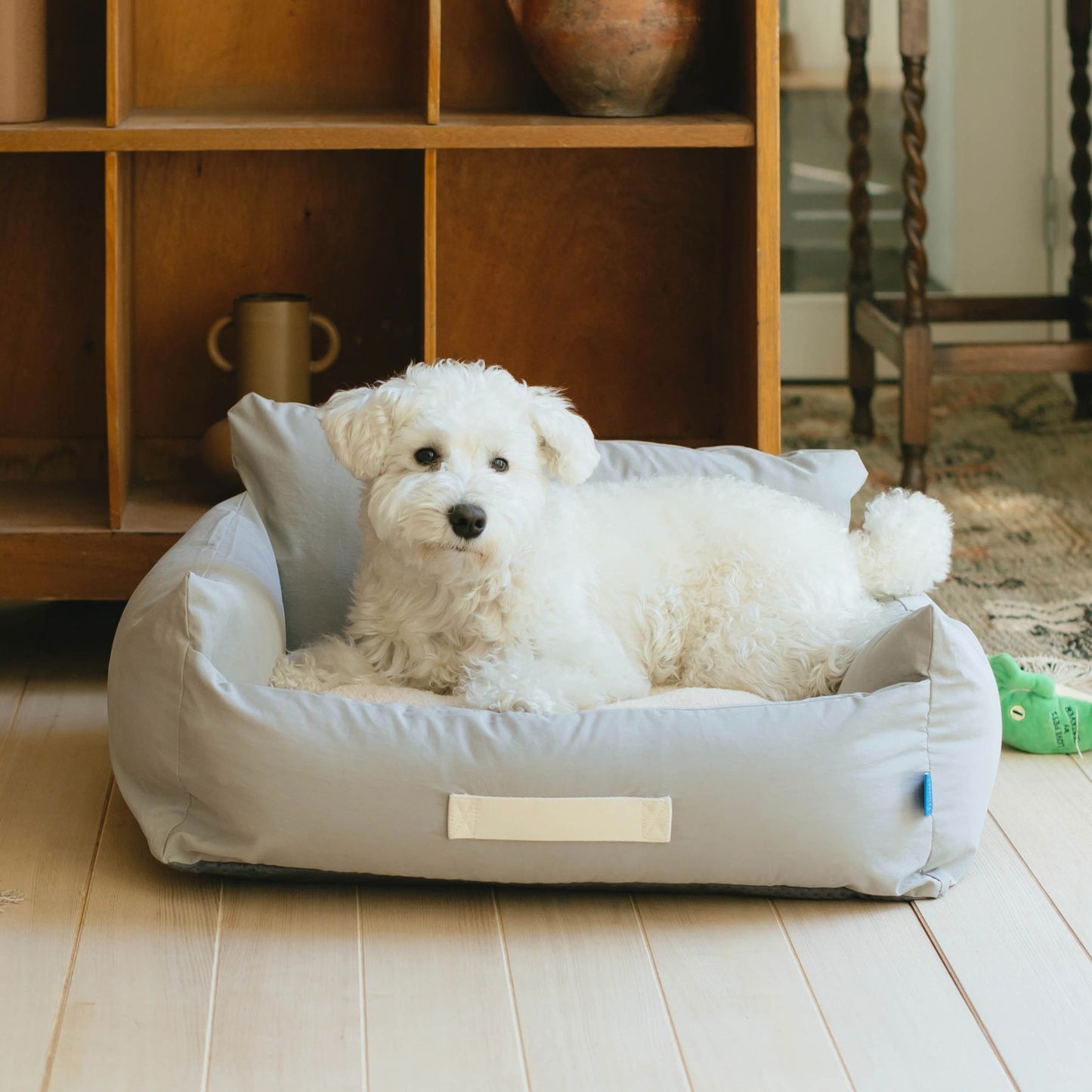 モデル犬：7.7kg