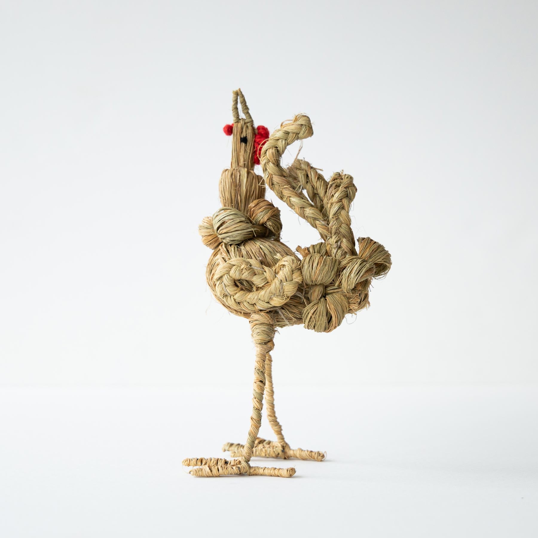 tku0004）GALLINA ESPARTO（24cm）