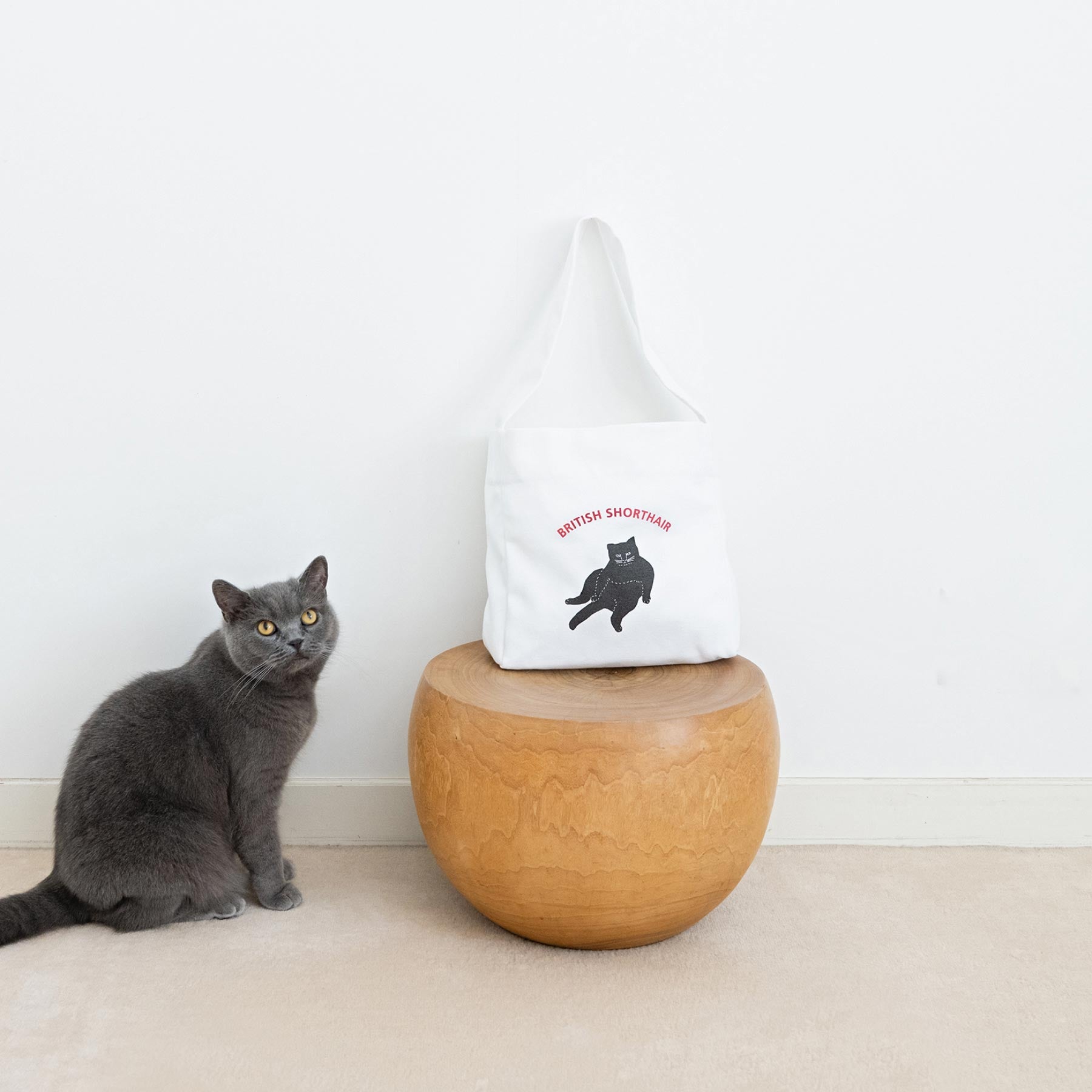 Tomotake ワンショルダーバッグ／BRITISH SHORTHAIR｜バッグ｜オルネ