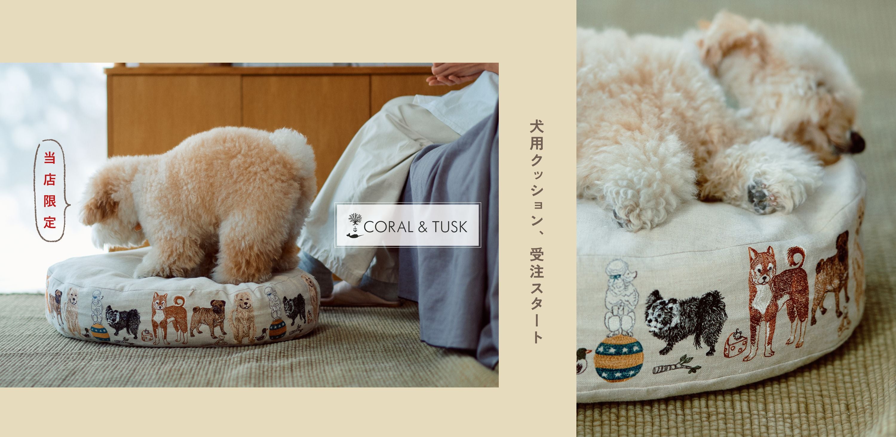 Coral & Tusk × Foinu オーバルイヌベッド_1