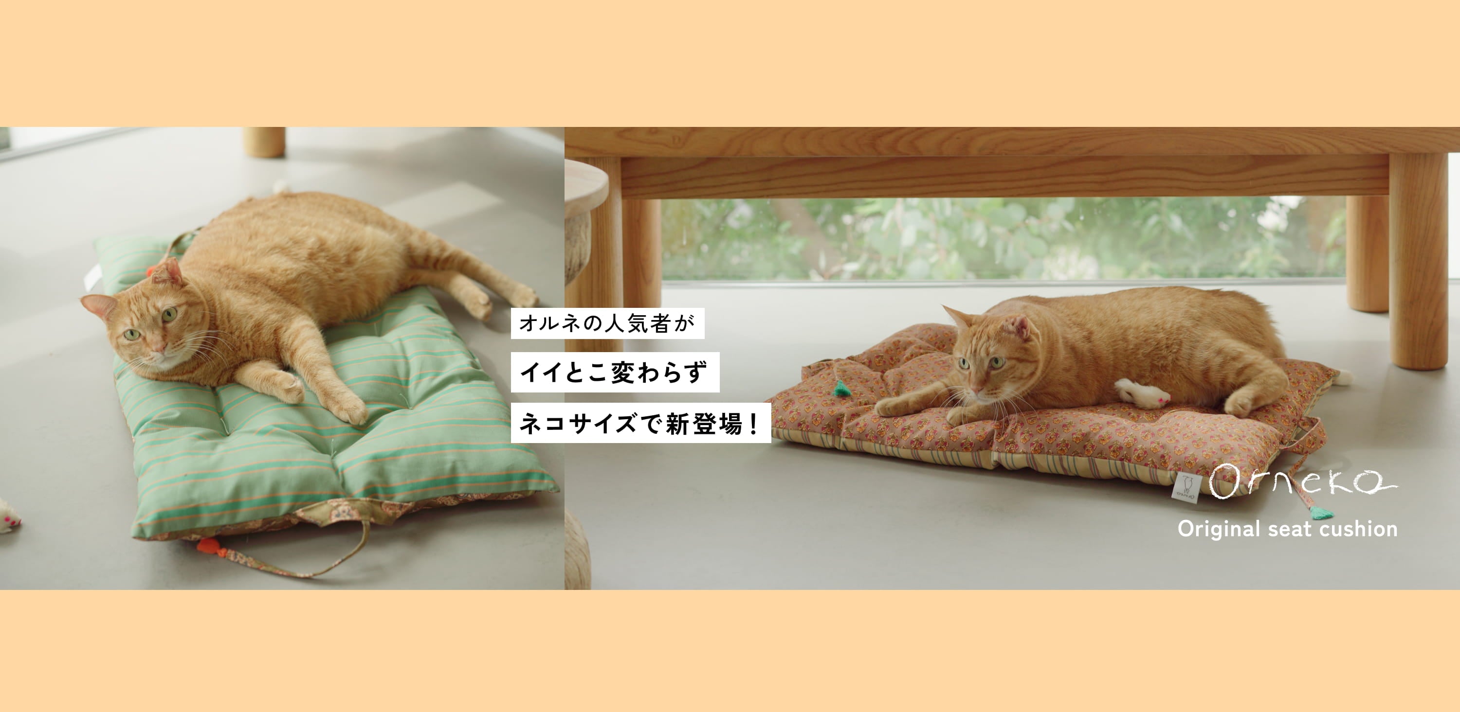 オルネコ・シートクッション_1