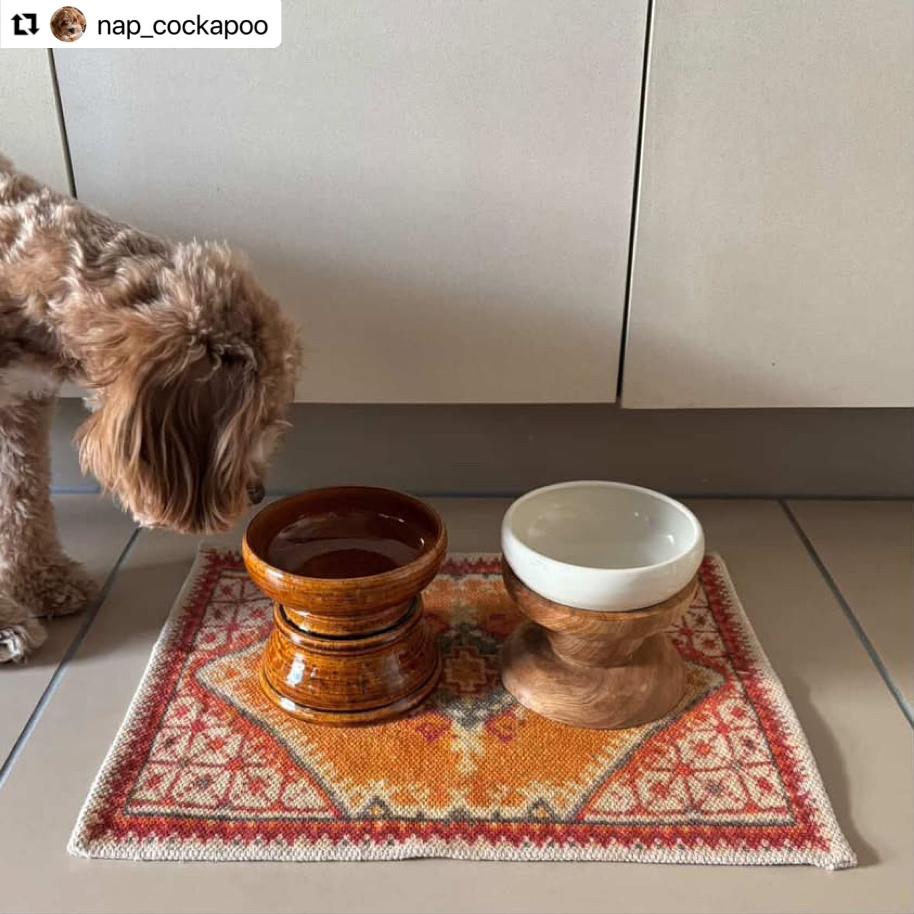 兵山窯 × Orneko フードボウル&スタンドセット｜オルネコ（フード