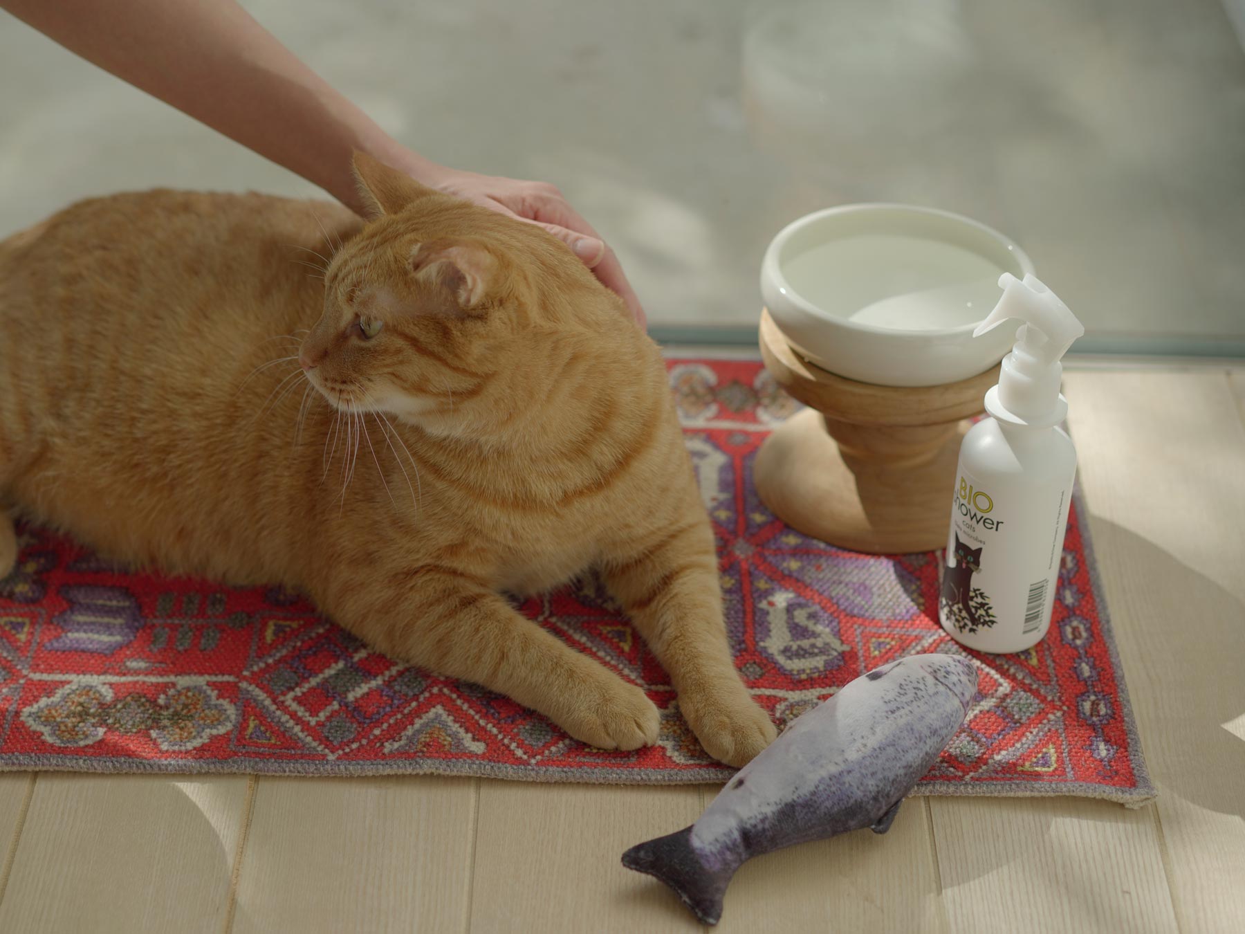 BIOシャワー（猫用）｜オルネコ（その他・お手入れ）｜オルネ ド