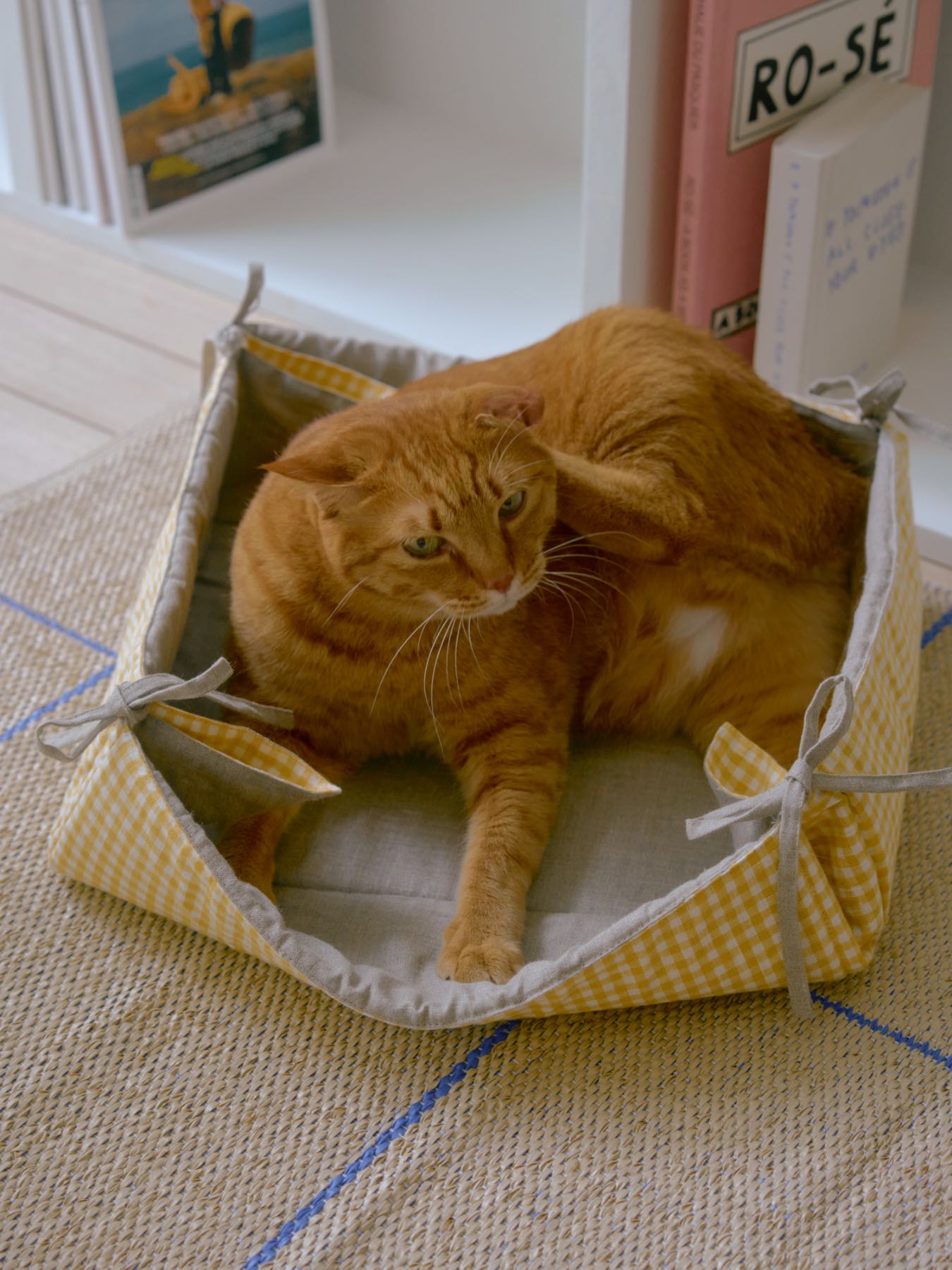 オリーブねこ　折りたたみベット fog linen work × Orneko 折りたたみ式リバーシブルベッド｜オルネコ