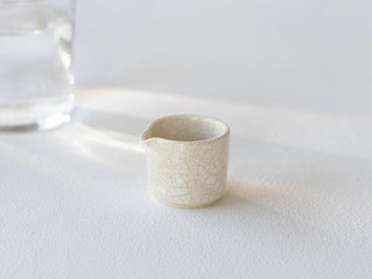 megumi tsukazaki ミニピッチャー／貫入