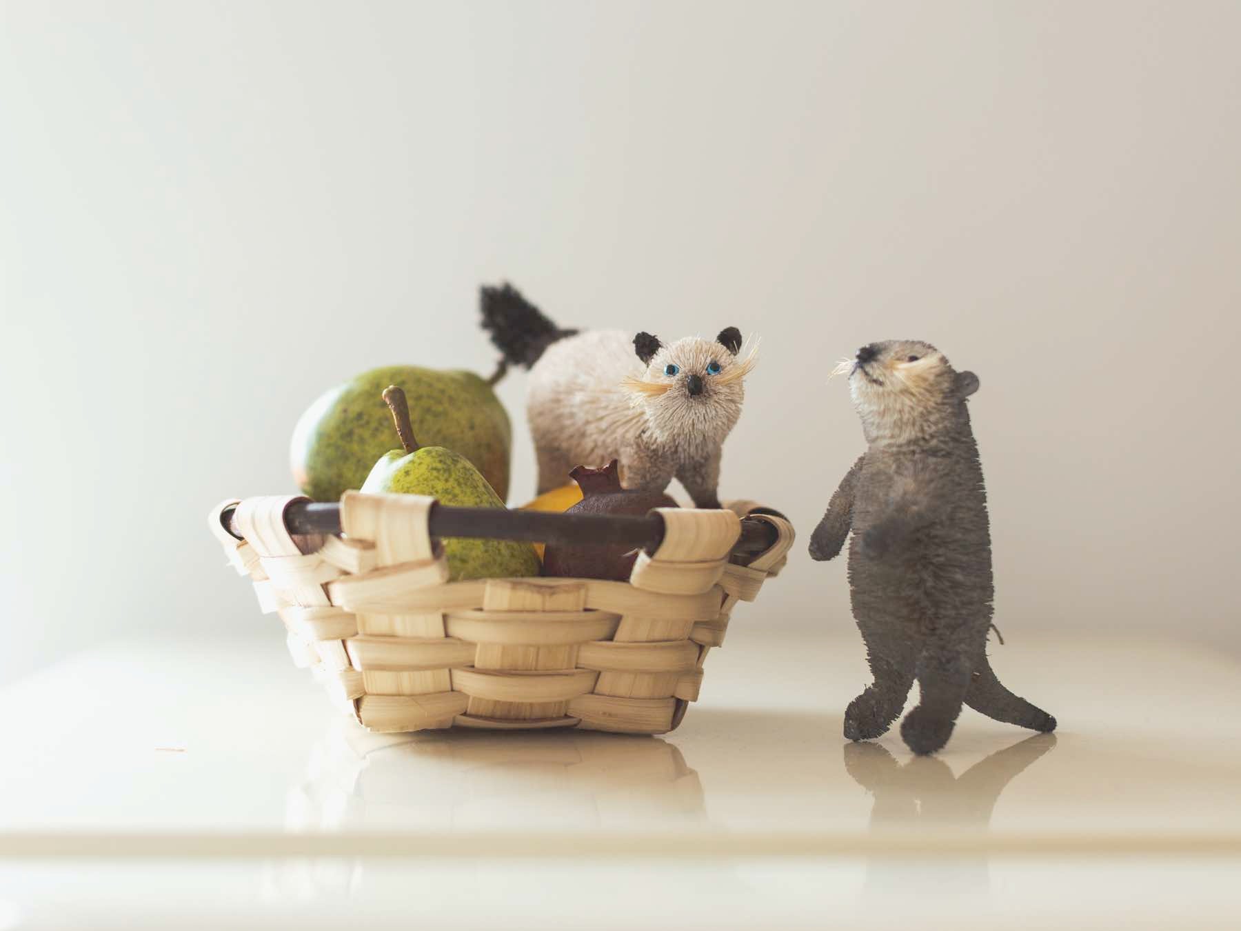 たわしアニマル｜オブジェ・ぬいぐるみ｜オルネ ド フォイユ公式