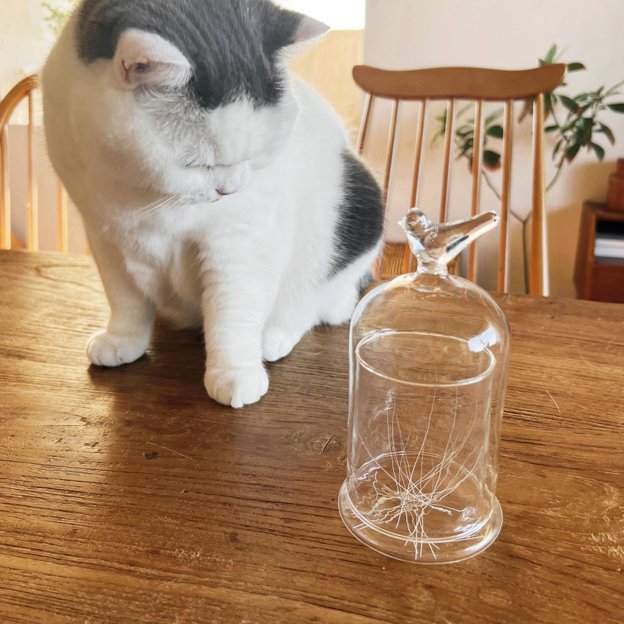 ネコのヒゲ入れ