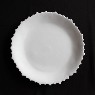 at0470 Astier de Villate Riviere ラージディナープレート