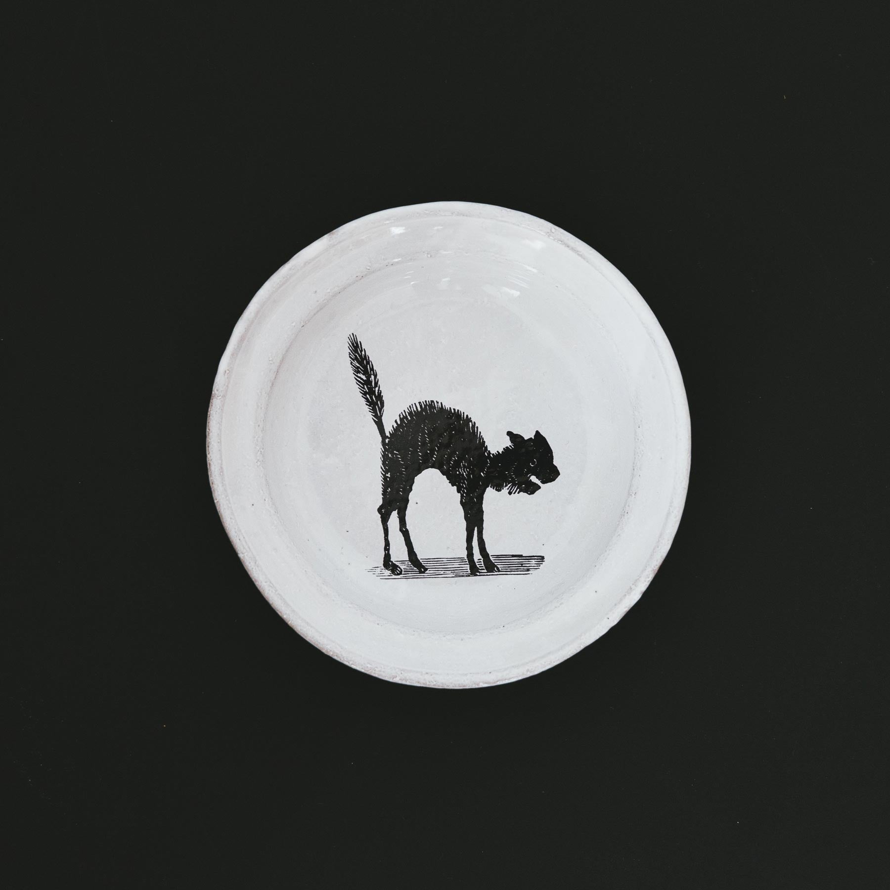 限​定​販​売​】 Astier de Villatte john derian 猫 プレート | www