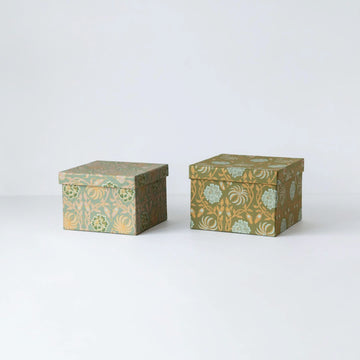 bun0019）Leela Olive