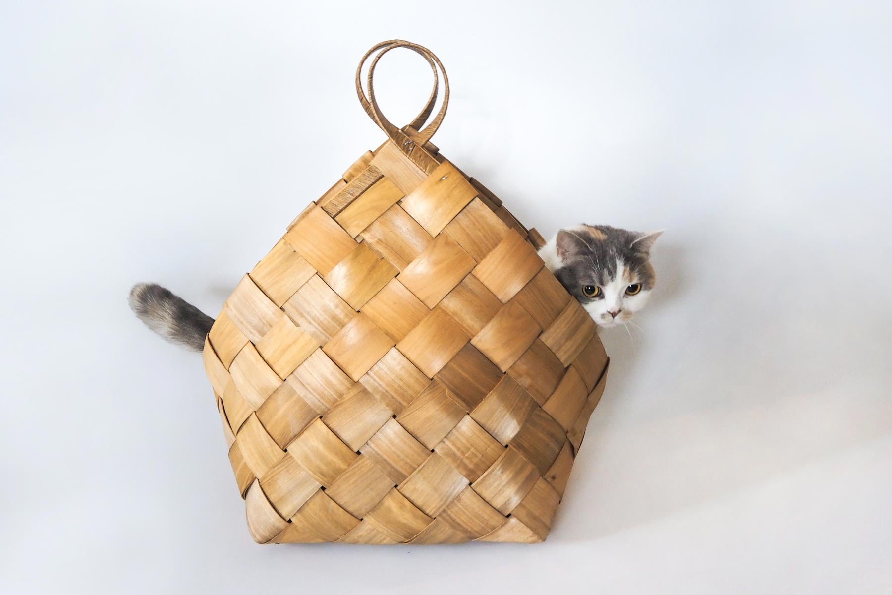 コニカルバスケット｜かご・収納｜オルネ ド フォイユ公式オンライン