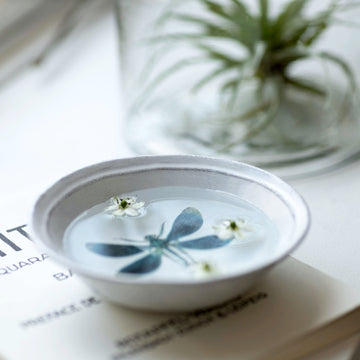 Astier de Villatte John Derian／スーププレート Dragonfly