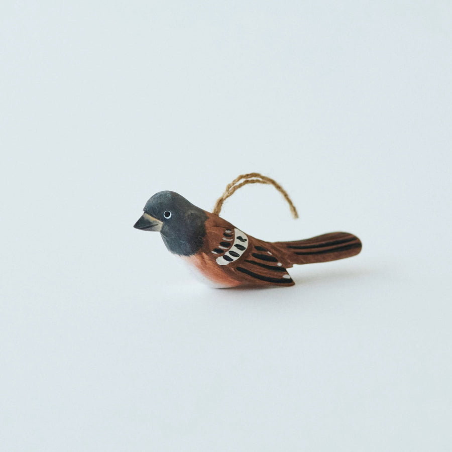 shs0011 - BIRD