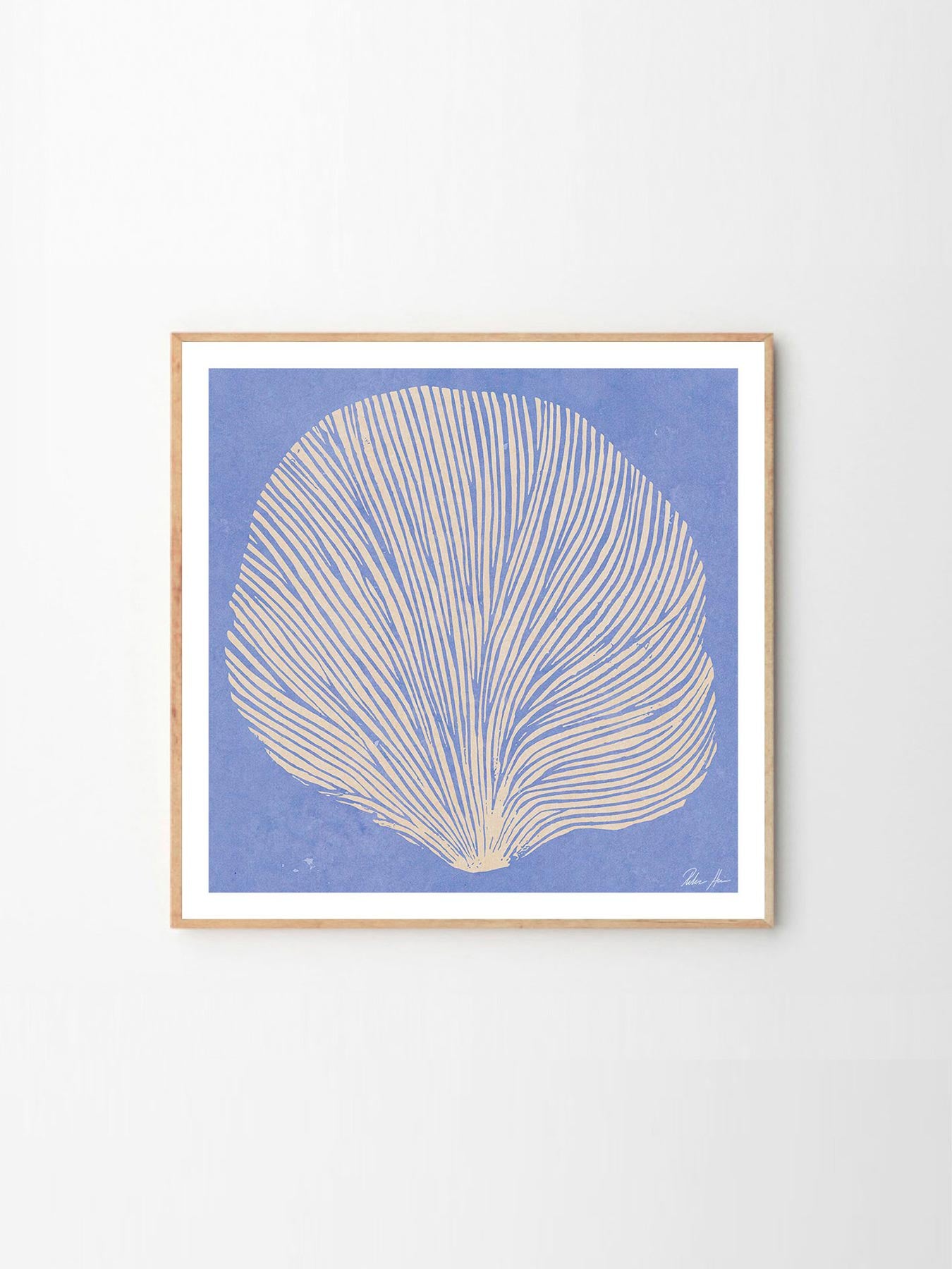 tpc0046　Rebecca Hein／Sea Lavender（50cm×50cm）