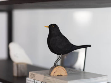 trg0005-Black bird